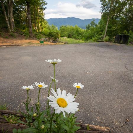 Real Log Cabin With Amazing Views, Hot Tub, Sauna, Games Gatlinburg Bagian luar foto