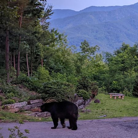 Real Log Cabin With Amazing Views, Hot Tub, Sauna, Games Gatlinburg Bagian luar foto